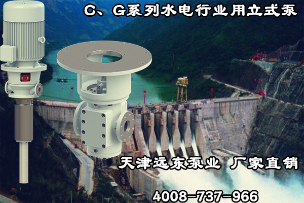 C、G系列水電行業(yè)用立式泵